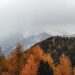 fall travels - trees - mountains - fog