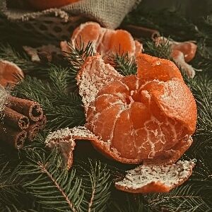 orange-pine-holidays-boost- immune