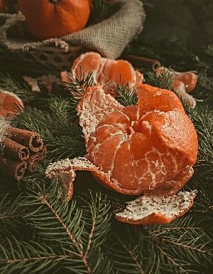 orange-pine-holidays-boost- immune