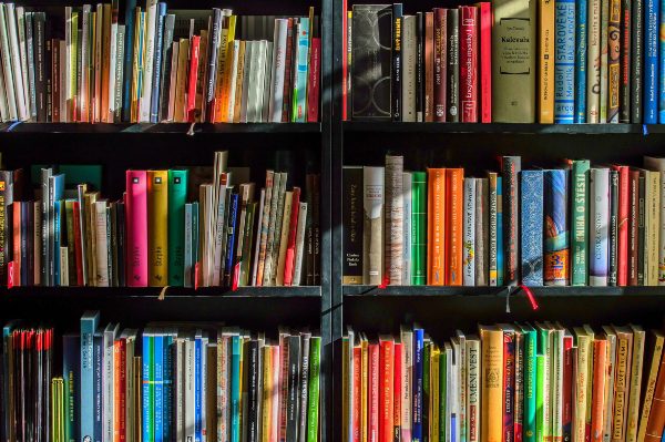 organize your bookshelf