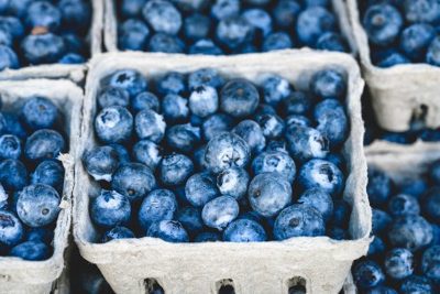 superfood - blueberries