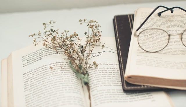 pantsing vs. plotting - books