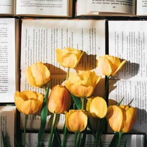 february 2025 new book releases