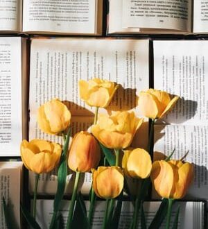 february 2025 new book releases