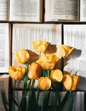 february 2025 new book releases