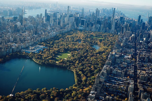 nyc - central park
