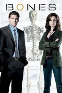 mystery tv shows - bones