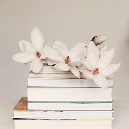 12 Powerful Books by Black Authors to Honor Black History Month