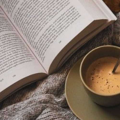 Amazing Book Reads: February 2024