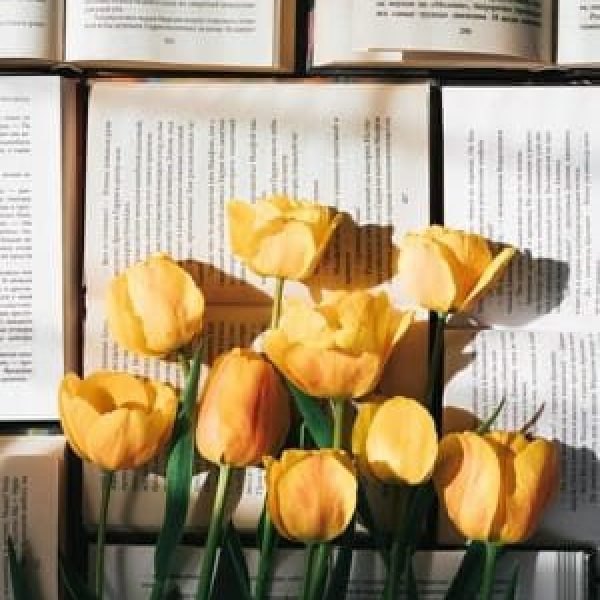 february 2025 new book releases