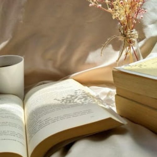 February 2026 New Book Releases: Fresh Off The Press Series