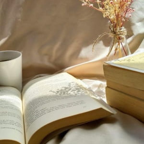 February 2026 New Book Releases: Fresh Off The Press Series