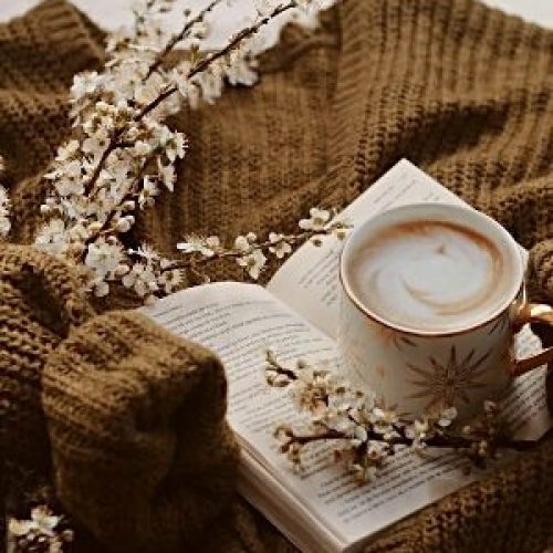 January 2025 New Book Releases P2: Fresh Off The Press Series