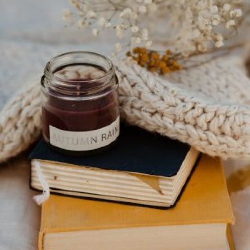 January 2025 New Book Releases: Fresh Off The Press Series