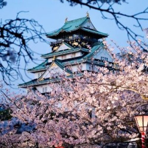 Spring Travel: 8 Best Places To See Beautiful Blooms Around The World