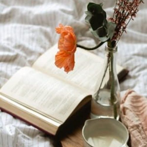 March 2026 New Book Releases: Fresh Off The Press Series