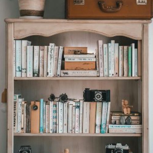 10 Creative Ways to Organize Your Bookshelf