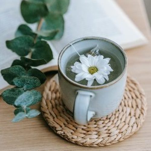 stress relief - tea - leaf -book-min