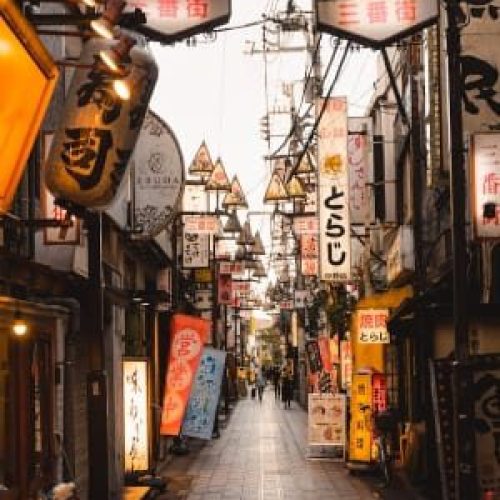 Tokyo, Japan: Where Tradition Meets The Future (City Series)